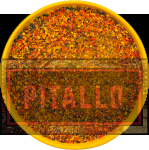 Bulma LUZ.png